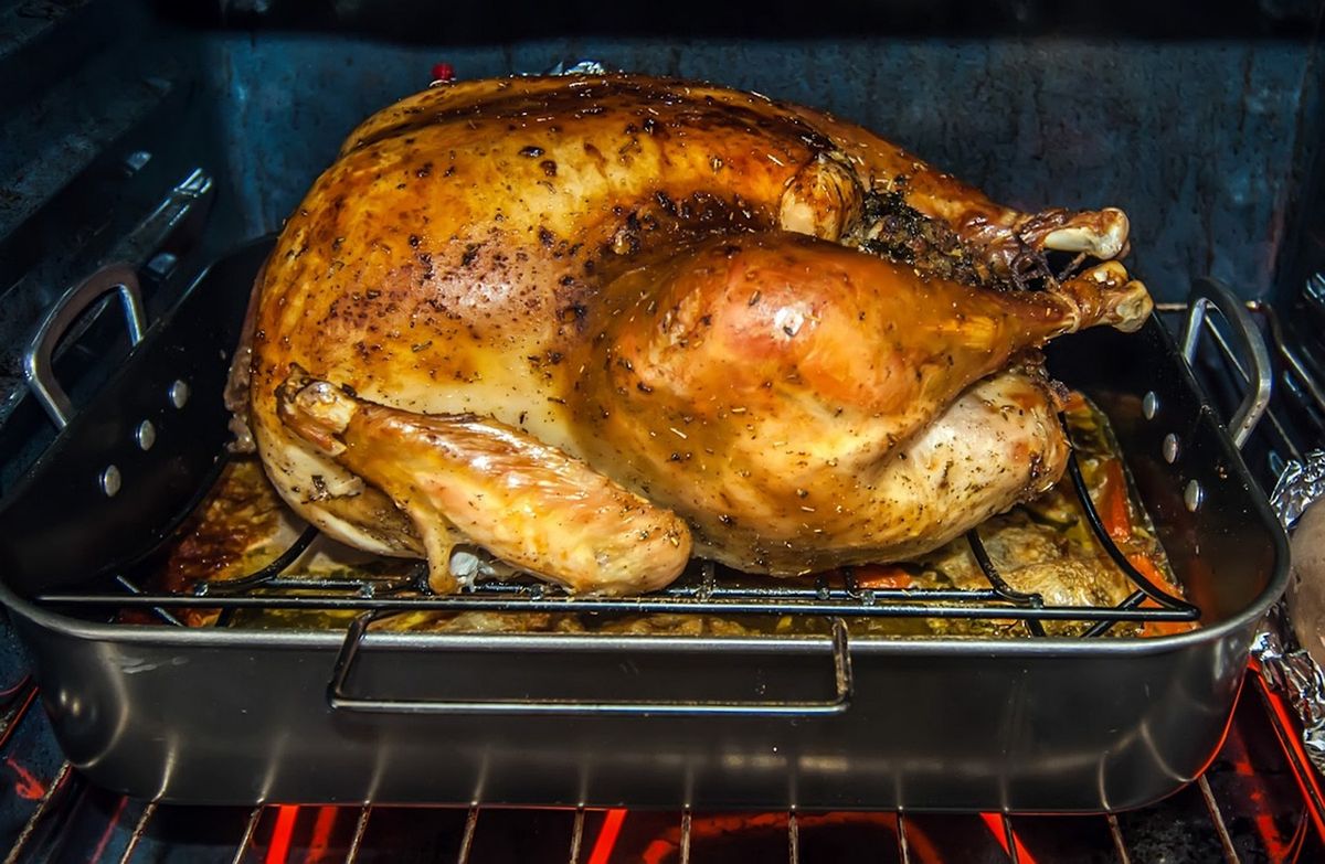 Will the Largest Air Fryer Hold My Turkey?