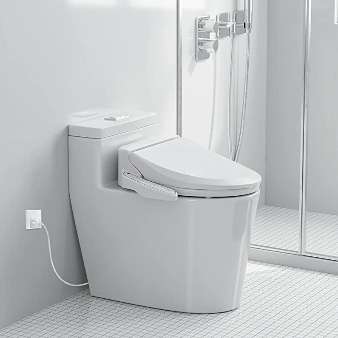 Shake Up Toilet Habits: Benefits of a Bidet with Dryer