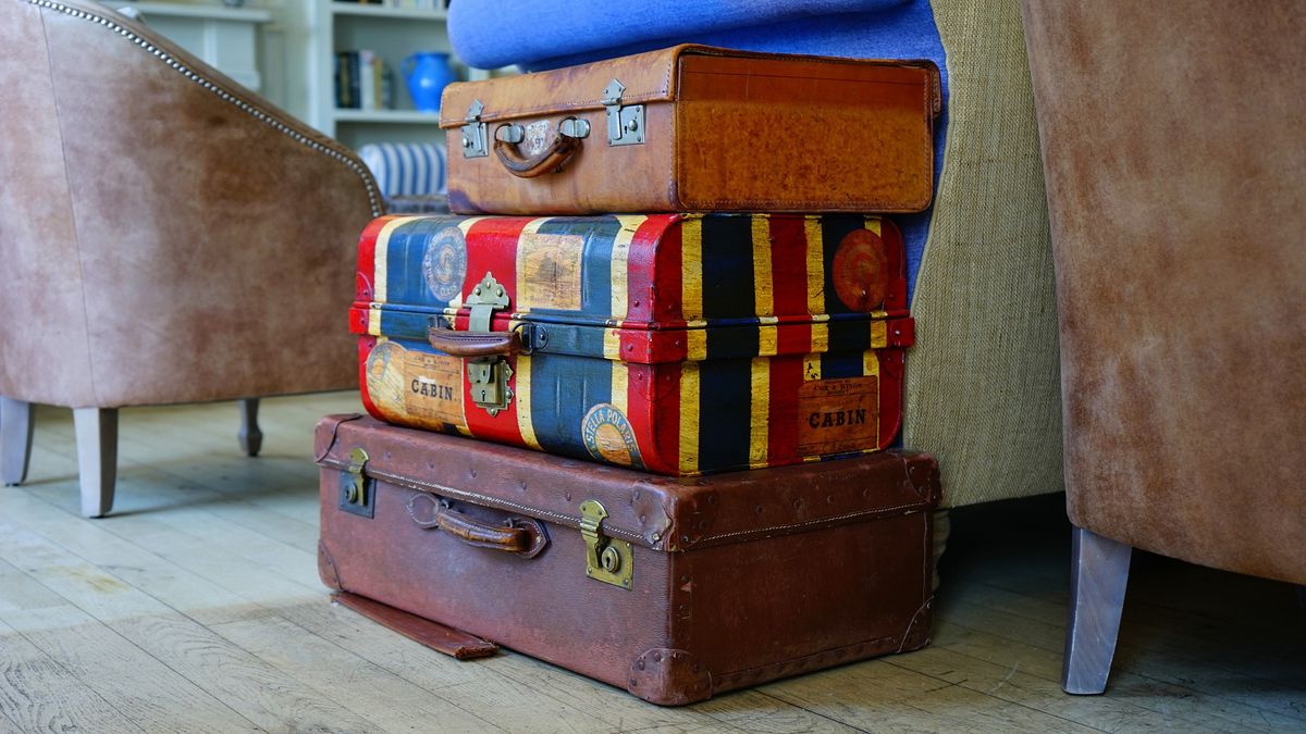 Amazon Basics Hardside Spinner Luggage: The Best Picks